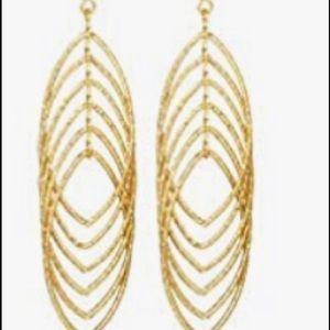 Woman’s Dangle Earrings